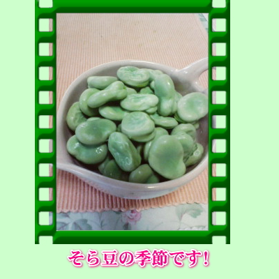 <<そらまめ>>1